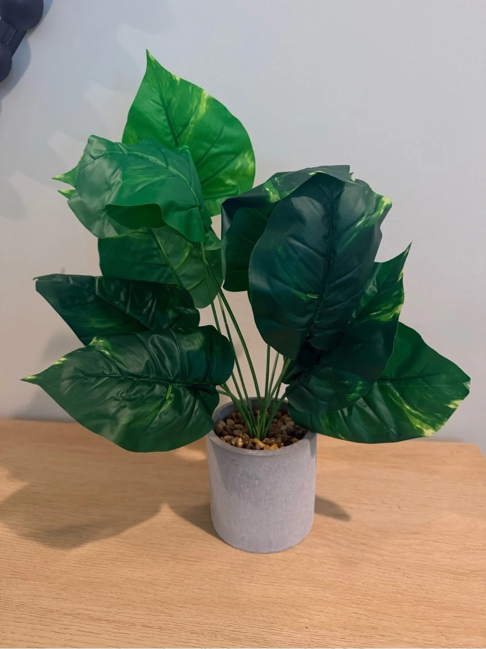 T.J.Maxx set decorative